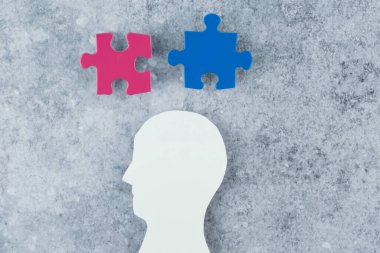 Gri bir arka planda pembe ve mavi renkli iki bulmacalı bir insan kafası silueti. Seks eğitimi kavramı. İlişki ve sağlık kavramı. Yüksek kalite fotoğraf