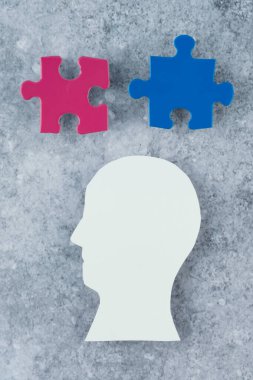 Gri bir arka planda pembe ve mavi renkli iki bulmacalı bir insan kafası silueti. Seks eğitimi kavramı. İlişki ve sağlık kavramı. Yüksek kalite fotoğraf
