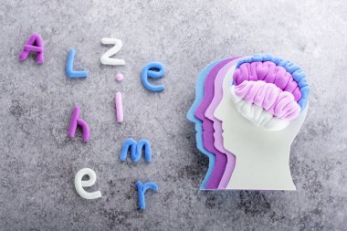 Mor farklı tonlara sahip siluet insan kafası gri arka planda Alzheimer 'ın sözleriyle beyni gölgeliyor. Yüksek kalite fotoğraf