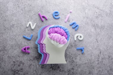 Mor farklı gölgeli siluet insan kafası gri arka planda Alzheimer 'ın sözleriyle beyni gölgeliyor. Yüksek kalite fotoğraf