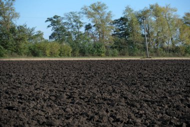Açık mavi bir gökyüzünün altında zengin siyah toprak canlı bir manzara boyunca uzanır. Tarımda toprak dokusu. Taze sürülmüş tarla. Kapatın. Yüksek kalite fotoğraf