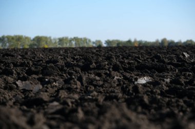 Ekmeden önce yeni sürülmüş çernozem. Tarımda toprak dokusu. Taze sürülmüş tarla. Kapatın. Yüksek kalite fotoğraf