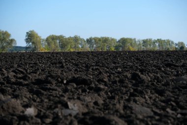 Ekmeden önce yeni sürülmüş çernozem. Tarımda toprak dokusu. Taze sürülmüş tarla. Kapatın. Yüksek kalite fotoğraf