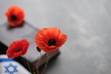 Açık bir kitabın yanına koyulmuş parlak turuncu gelincikler. İsrail bayrağı, hatıra ve umudun sembolü. Savaş anıtı tatili. Yahudi Anma Günleri. Yüksek kalite fotoğraf