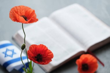 Açık bir kitabın yanına koyulmuş parlak turuncu gelincikler. İsrail bayrağı, hatıra ve umudun sembolü. Savaş anıtı tatili. Yahudi Anma Günleri. Yüksek kalite fotoğraf