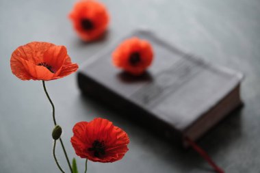 Kapalı bir kitabın yanına koyu renk bir yüzeye yerleştirilmiş parlak turuncu gelincikler. Savaş anıtı tatili ve anma günleri. Yüksek kalite fotoğraf