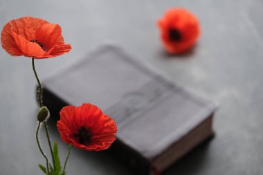 Parlak turuncu gelincikler karanlık bir yüzeyde kapalı bir kitabın yanına konur. Anma Günü kavramı ve savaşta ölenleri onurlandırmak. Yüksek kalite fotoğraf