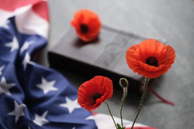 Amerikan bayrağı gri arka planda açık bir İncil 'de parlak gelincik çiçekleri süsledi. Poppy 'e odaklan. Anma Günü, Gaziler Günü ya da Anma Günü anma Günü. Yüksek kalite fotoğraf