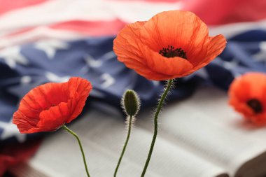 Amerikan bayrağı parlak haşhaş çiçeklerini gri arka planda açık bir İncil 'in üzerine süsledi. Anma Günü, Gaziler Günü ya da gri bir arkaplanda Anma Günü. 