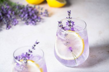 Lavanta, limon dilimleri ve kabarcıklarla sunulan canlı bir içecek ferahlatıcı bir ortam yaratır. Narin lavanta filizleri içkinin görsel cazibesini arttırır. Detoks ve vejetaryen içeceği. Yüksek kalite fotoğraf