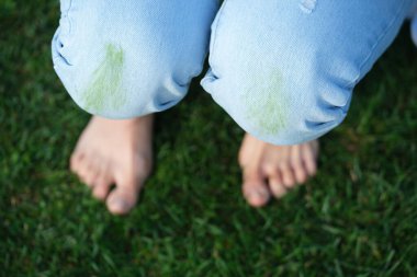 Dirty jeans with grass on their knees are ready for home stain removal. Cleaning supplies such as a brush, sponge, and jars of powder. The concept of eco-friendly stain removal on clothes. top view . High quality photo