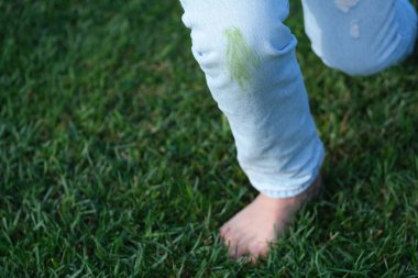 Dirty jeans with grass on their knees are ready for home stain removal. Cleaning supplies such as a brush, sponge, and jars of powder. The concept of eco-friendly stain removal on clothes. top view . High quality photo