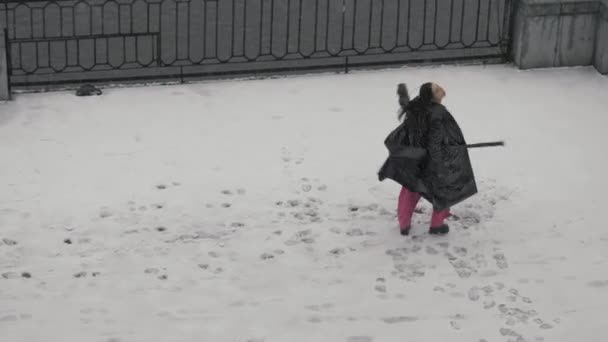Dans Asiatisk Kvinna Lätta Kläder Åtnjuter Vitalitet Frihet Ett Snöfall — Stockvideo