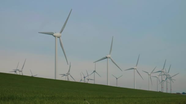 Fazenda Eólica Parque Eólico Usina Eólica Turbinas Eólicas Gerando Energia — Vídeo de Stock