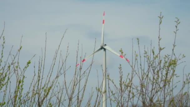 Вітрова Турбіна Працює Виробляє Зелену Електроенергію Молодими Зеленими Деревами Низьким — стокове відео