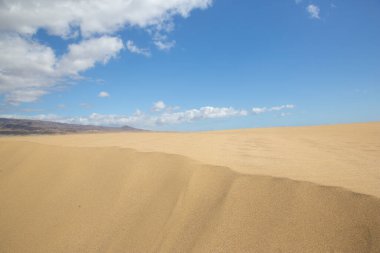 Kum tepeleri. Günbatımında Gran Canaria 'da meşhur Maspaloma kumulları, Kanarya Adası, İspanya