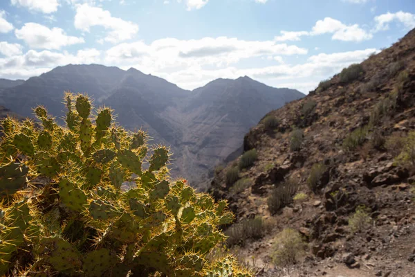 stock image scenic mountain landscapes - Gran Canaria.