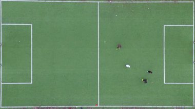 Yeşil Yapay Çim Alanında Futbol Oyuncularının Hava Görüntüsü