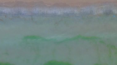 Hava Okyanusu Dalgaları Yeşil Yosun Kıyısı