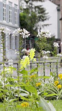 Sunset Coastal Resort Town Havacılık Panoraması