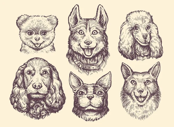 人気の犬のスケッチセットの品種 かわいい犬や子犬の文字のデザインコレクション 面白いペット動物ベクトルイラスト — ストックベクタ