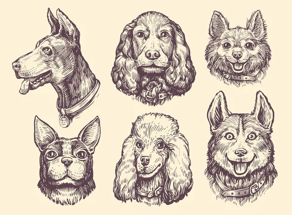 異なる品種の犬の頭の肖像画のセット かわいいペット動物コレクション 犬と子犬のベクトル図 — ストックベクタ