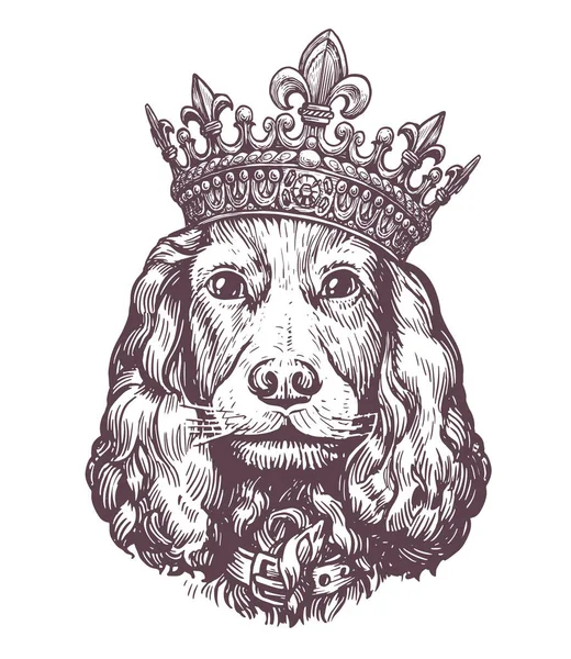 一个头戴皇冠的可爱的小猎犬的肖像 宠物动物 小狗草图 古董矢量图解 — 图库矢量图片