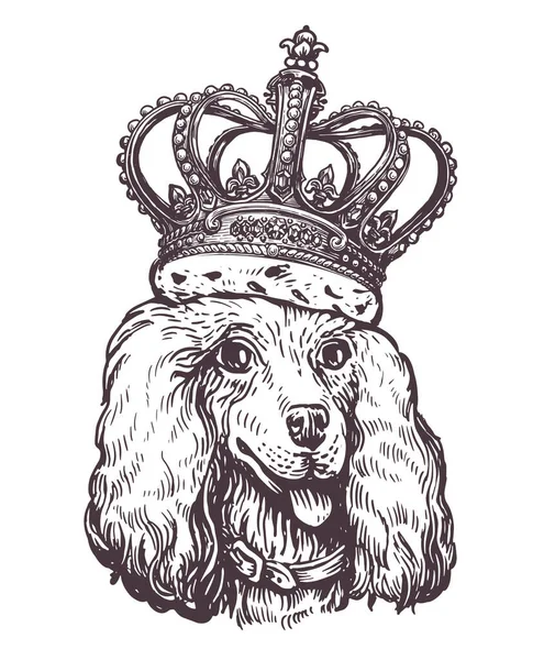 可爱的狗狮子狗的画像 头戴皇冠 宠物动物 小狗头草图 古董矢量图解 — 图库矢量图片