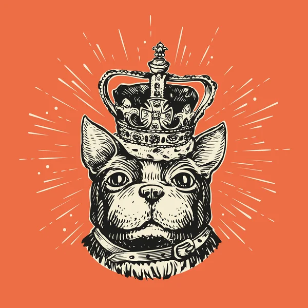 英語の王冠のかわいい犬の肖像画 ペット動物 子犬のパグ ブルドッグの頭のスケッチ ヴィンテージベクトルイラスト — ストックベクタ