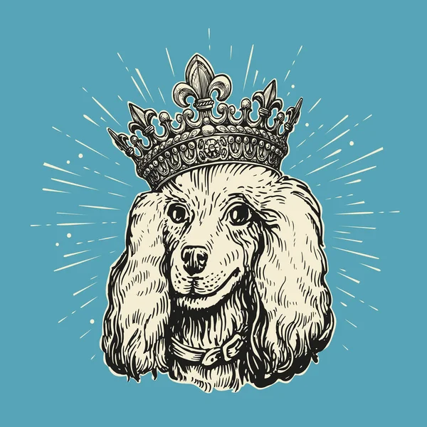 皇冠上美丽的狗狮子狗 以复古风格画 皇家可爱的狗狮子狗 宠物动物 小狗草图病媒图解 — 图库矢量图片