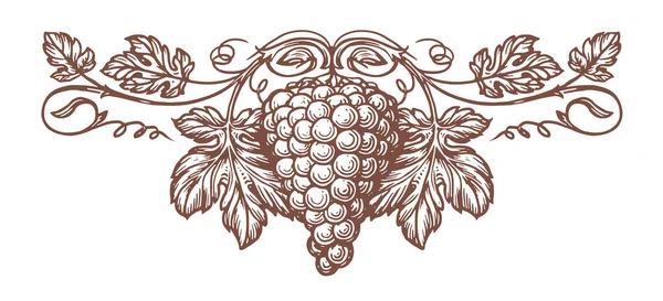 葉のパターンベクトルを持つブドウの束 新鮮な果物のスケッチ ワイナリー ワイン ラベルデザインのためのジューシーな要素 — ストックベクタ