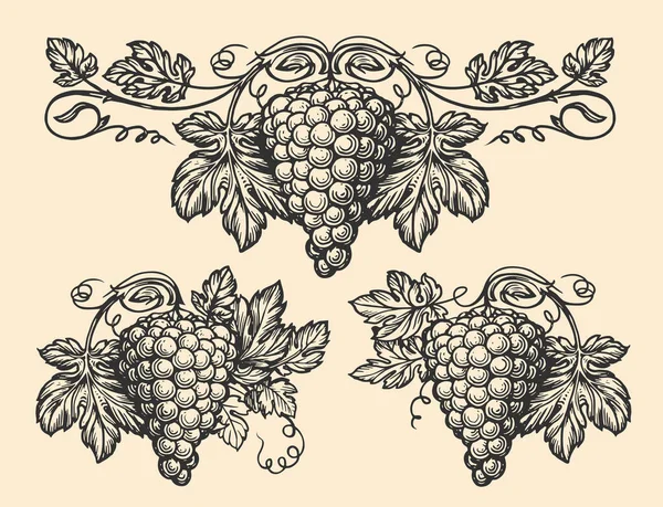 ブドウのパターンセットのスケッチ 手描きのブドウ ブドウの房や葉 ブドウ畑のベクトル図ヴィンテージ彫刻 — ストックベクタ