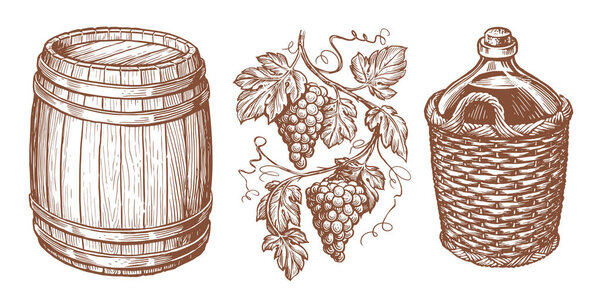 Wine drink sketch. Wooden barrel, vine, bottle in wicker basket, grapevine. Winery concept. Vintage vector illustration