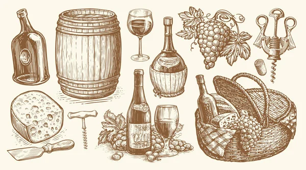 Wine Drink Concept Barrel Wineglass Bottle Grapevine Corkscrew Viticulture Sketch — Stock Vector