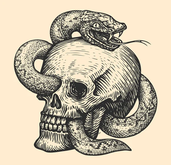 毒蛇が人間の頭蓋骨を包む ヴィンテージ彫刻スタイルで手描きスケッチ タトゥーベクトルイラスト — ストックベクタ