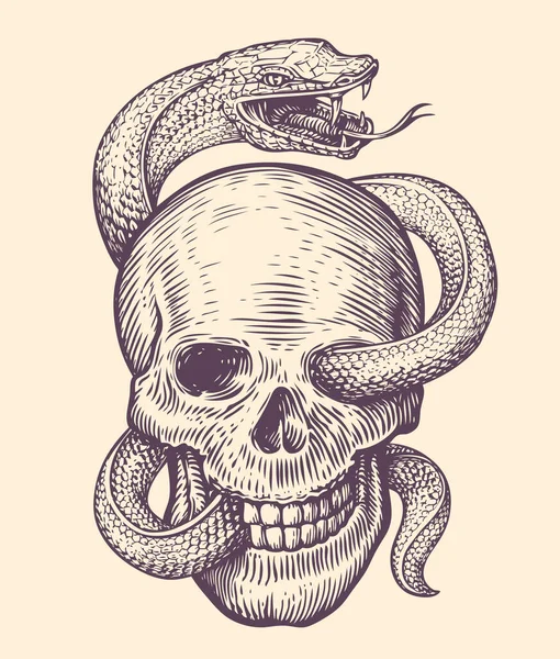 ヘビは人間の頭蓋骨を包む ヴィンテージ彫刻スタイルで手描きスケッチ タトゥーベクトルイラスト — ストックベクタ