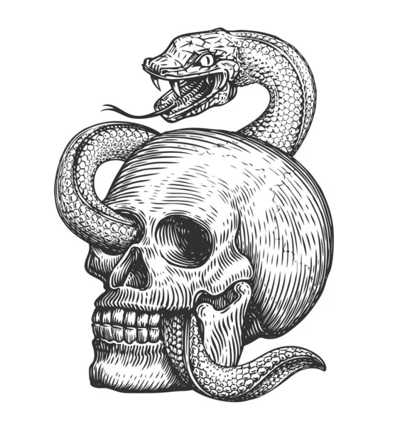 ヘビは人間の頭蓋骨を包む ヴィンテージ彫刻スタイルで手描きスケッチ タトゥーイラスト — ストック写真