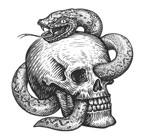 ヘビと人間の頭蓋骨のスケッチ ヴィンテージ彫刻スタイルで手描きイラスト 白地に隔離された入れ墨 — ストック写真