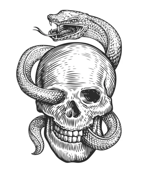 Crâne Humain Croquis Serpent Illustration Dessinée Main Dans Style Gravure — Photo