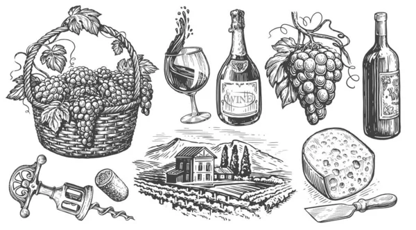 Weinset Vorhanden Weinbaukonzept Jahrgangsillustration Sammlung Handgezeichneter Skizzen Für Die Speisekarte — Stockfoto
