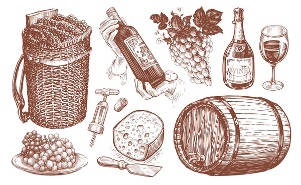 Wine set. Viticulture concept vintage illustration. Collection of hand drawn sketches