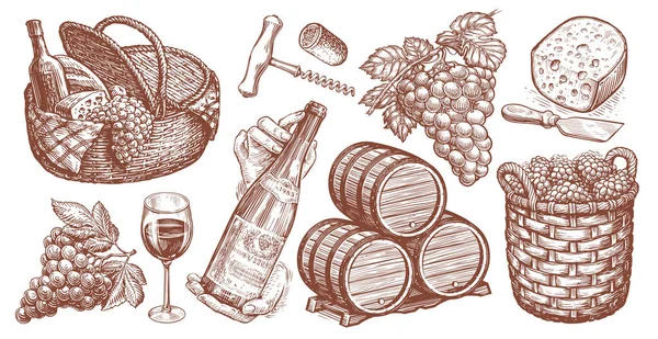 ブドウ栽培のコンセプトヴィンテージイラスト ワインコレクション レストランメニューのための手書きスケッチのセット — ストック写真