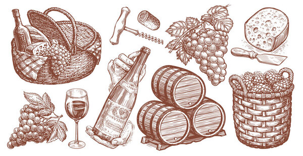 Viticulture concept vintage illustration. Wine collection. Set of hand drawn sketches for restaurant menu
