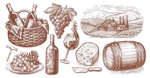 Viticulture concept vintage illustration. Collection of hand drawn sketches. Wine set