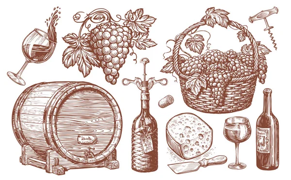 Weinset Vorhanden Weinbau Weinberg Konzept Jahrgangsabbildung Sammlung Handgezeichneter Skizzen — Stockfoto
