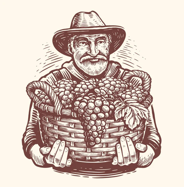 포도가 바구니를 수확하는 스케치 빈티지 — 스톡 벡터