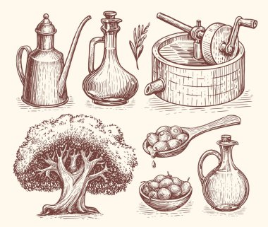 Zeytin yağı üretim konsepti. Sağlıklı organik çiftlik gıdası. Klasik oymacılık tarzında el çizimi vektör çizimleri