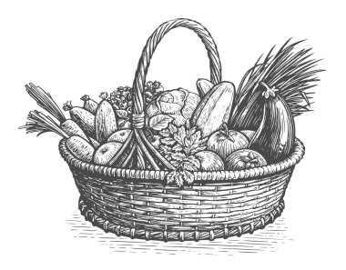 Vegetables in wicker basket. Healthy fresh organic farm food. Vintage sketch illustration