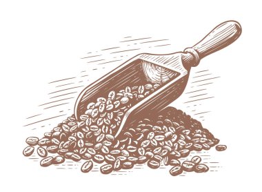 Ahşap bir spatulayla kavrulmuş kahve taneleri. El çizimi klasik vektör çizimi