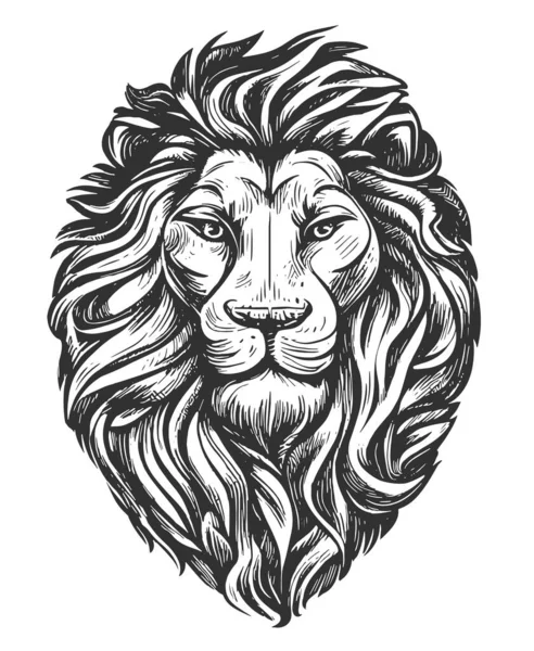 Free Lion Head Drawing Download Free Lion Head Drawing png images Free  ClipArts on Clipart Library